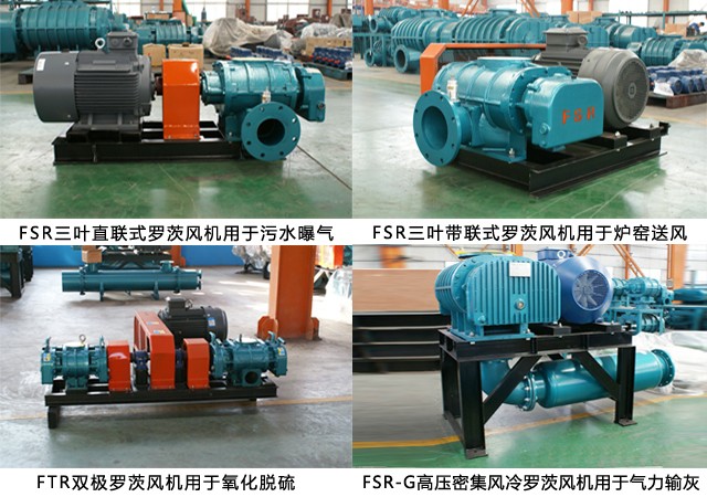 豐源三葉羅茨鼓風機 豐源三葉羅茨鼓風機