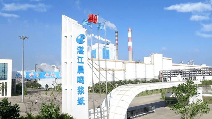 晨鳴紙業(yè) 晨鳴紙業(yè)