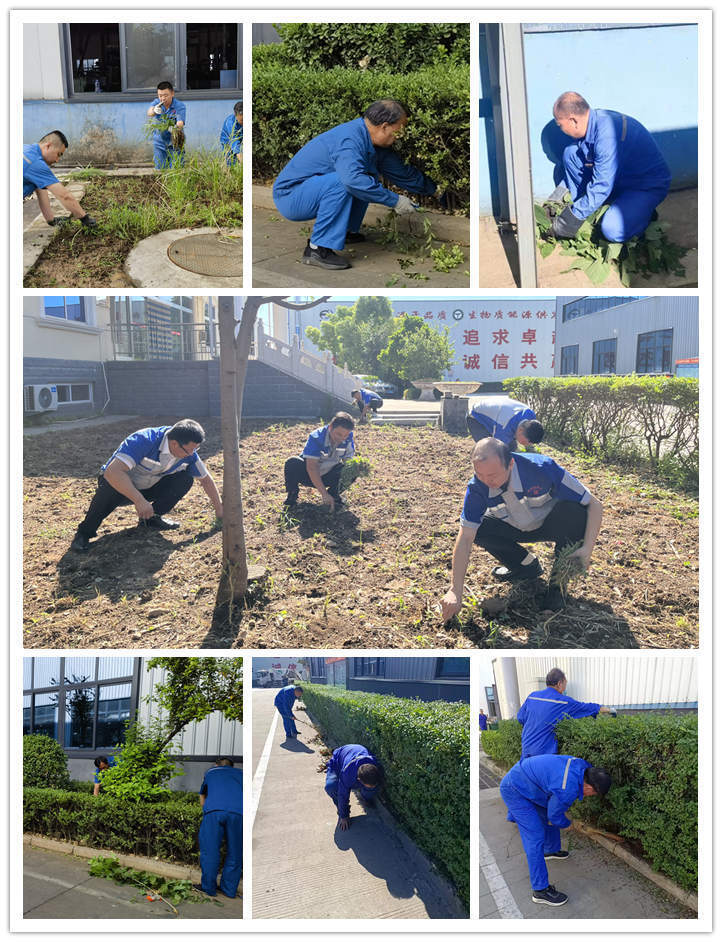 在公司領(lǐng)導(dǎo)的帶領(lǐng)下，各部門積極投入廠區(qū)內(nèi)外公共區(qū)域的清潔工作中，大家熱情高漲，分工合作