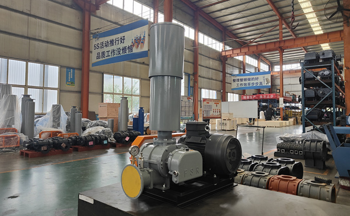 羅茨鼓風(fēng)機 羅茨鼓風(fēng)機