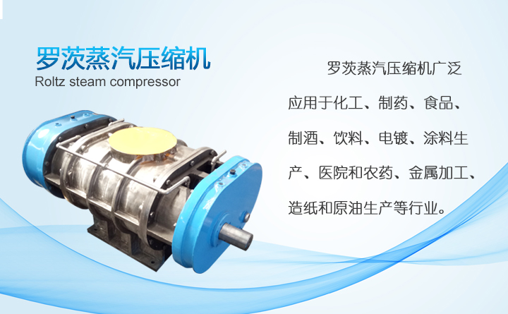 羅茨式蒸汽風(fēng)機(jī) 羅茨式蒸汽風(fēng)機(jī)